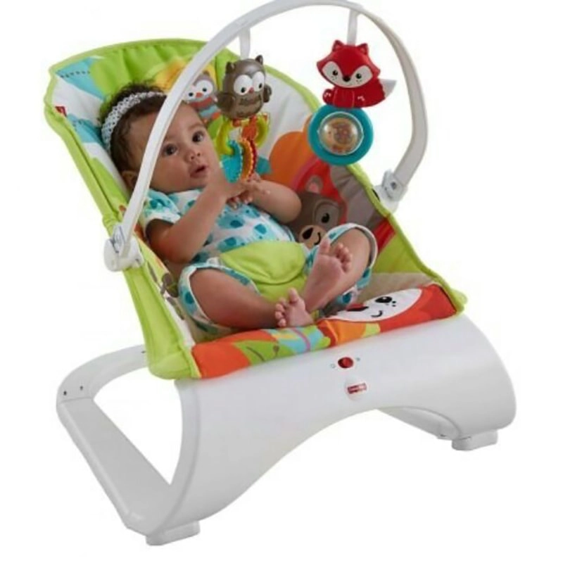 karakids baby bouncer